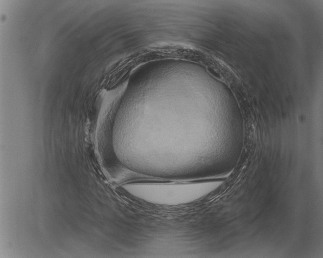 X0000081500965200702100051