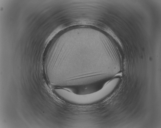 X0000081500972200702100051