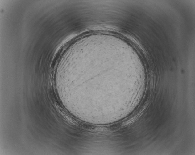 X0000081500974200702100051