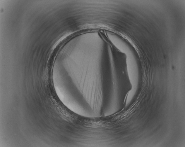X0000081500975200702100051