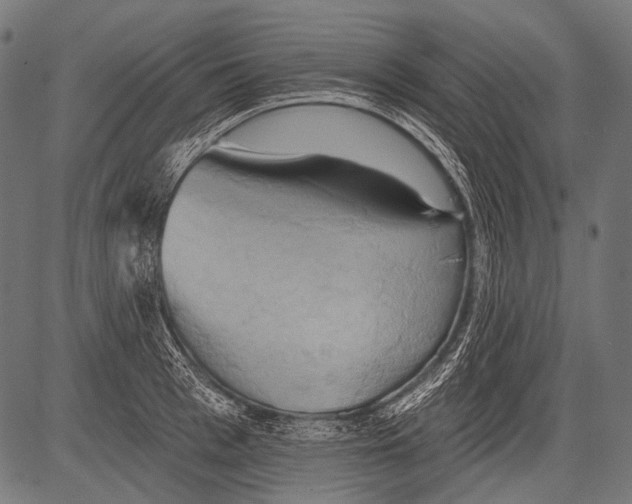 X0000081500993200702100051