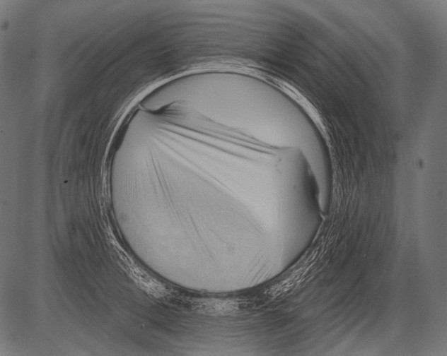 X0000081500996200702100051