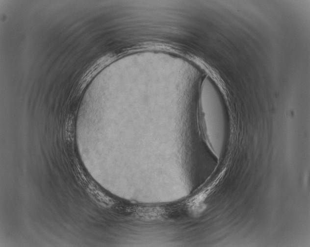 X0000081501001200702100051