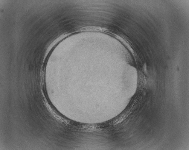 X0000081501003200702100051
