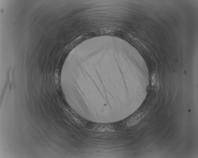 X0000081501011200702100050
