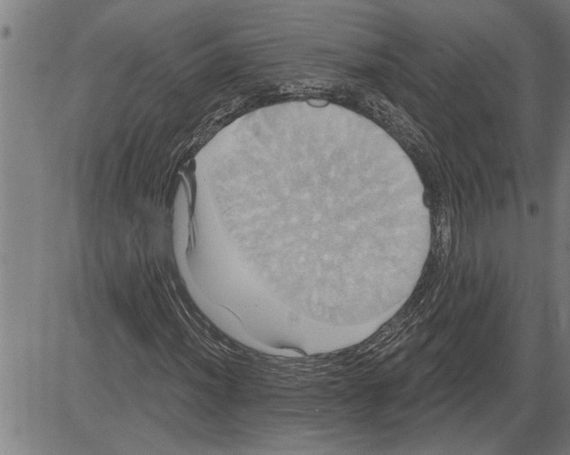 X0000081501012200702100050