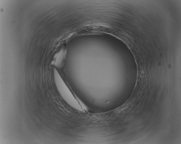 X0000081501014200702100050