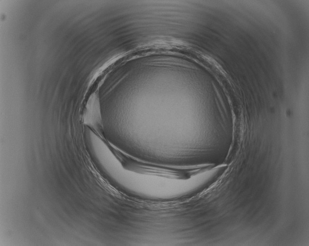 X0000081501018200702100050
