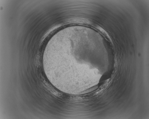 X0000081501019200702100050