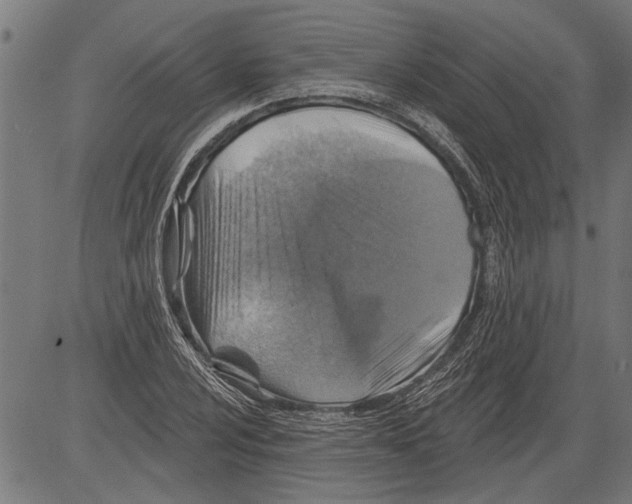 X0000081501024200702100050
