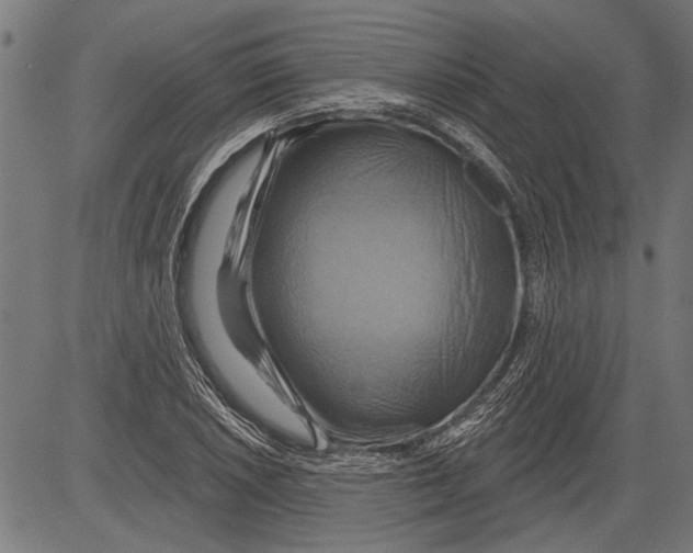 X0000081501026200702100050