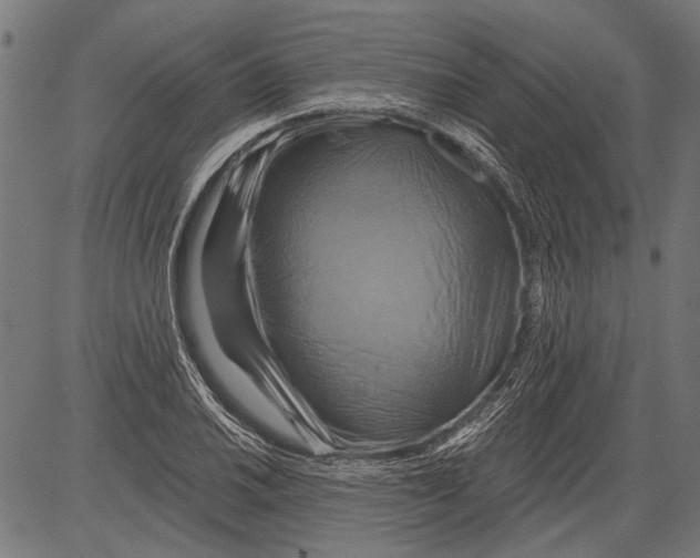 X0000081501030200702100050