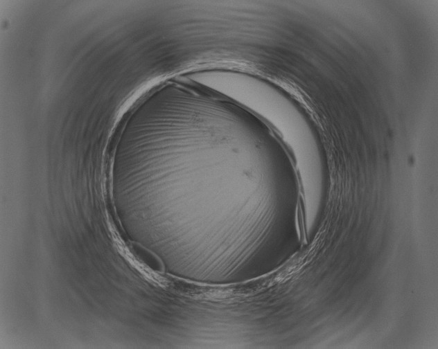 X0000081501038200702100050
