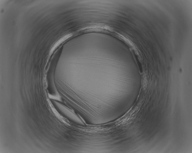 X0000081501042200702100050