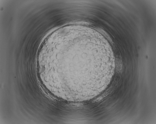 X0000081501044200702100050