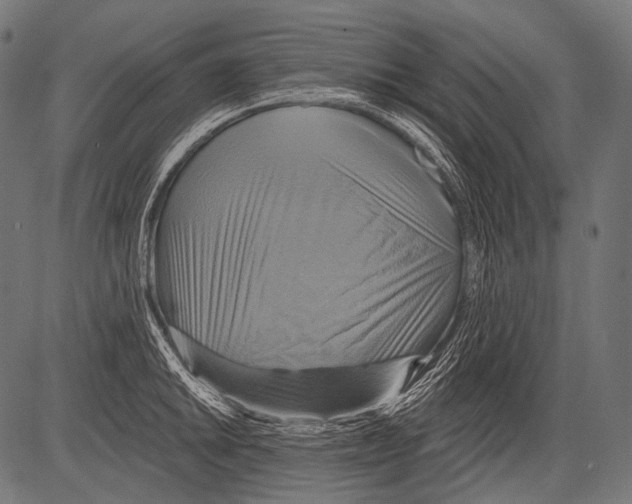 X0000081501046200702100051