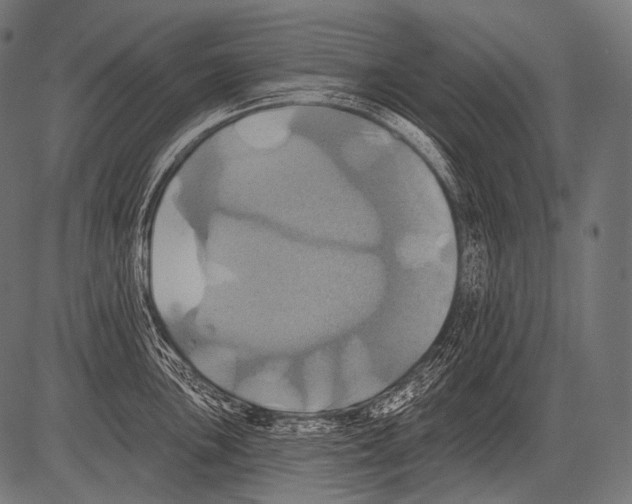 X0000081501051200702100051