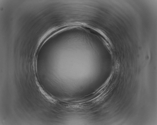 X0000081501054200702100051