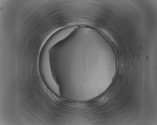 X0000081501076200702100050