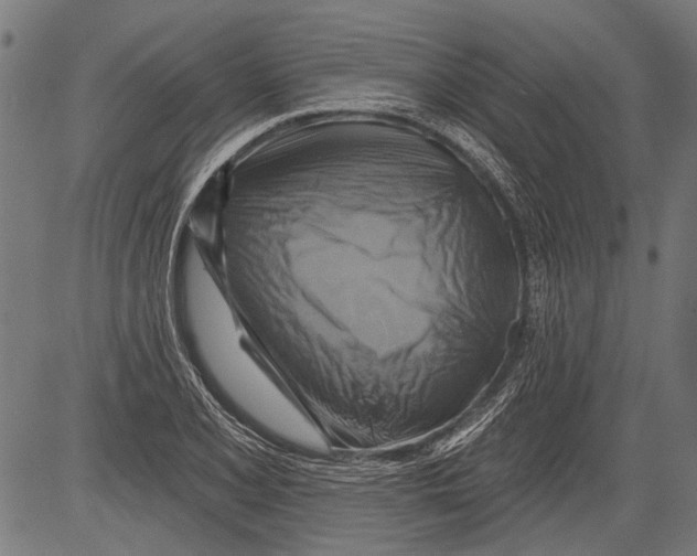 X0000081501077200702100050