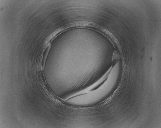 X0000081501081200702100049