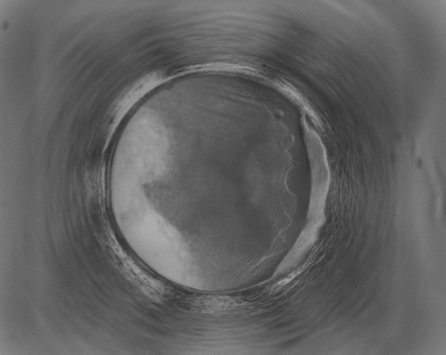 X0000081501092200702100049