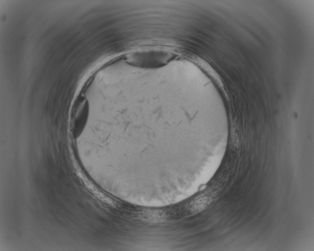 X0000081501096200702100049