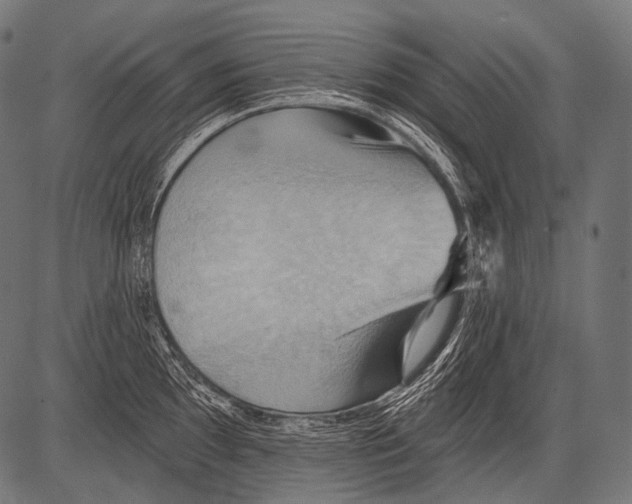 X0000081501097200702100049
