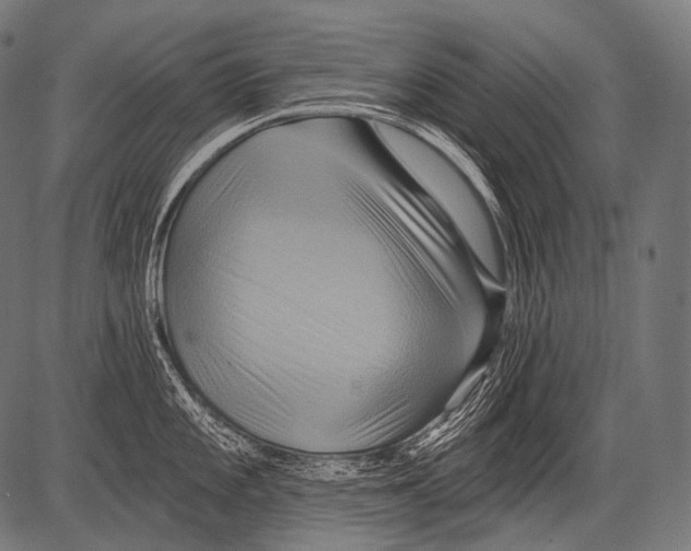 X0000081501101200702100049