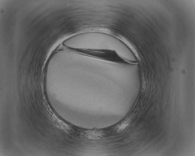 X0000081501102200702100049