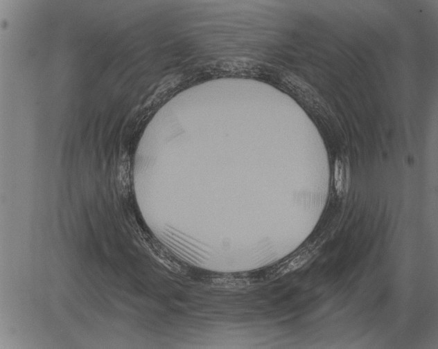 X0000081501107200702100048