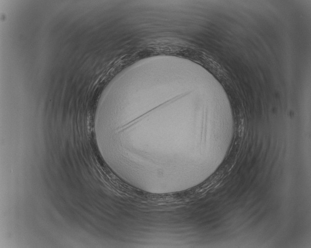 X0000081501108200702100048
