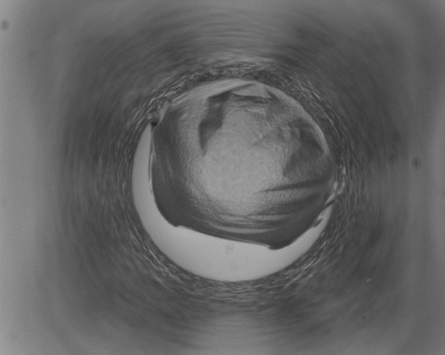 X0000081501109200702100048