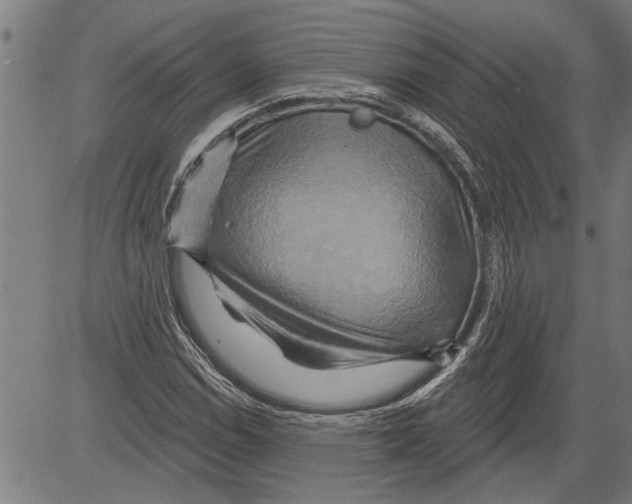 X0000081501114200702100048