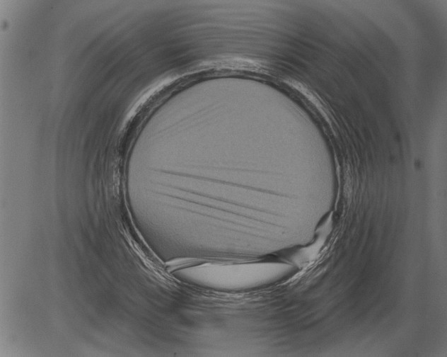 X0000081501115200702100049