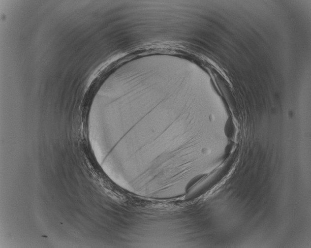 X0000081501117200702100049