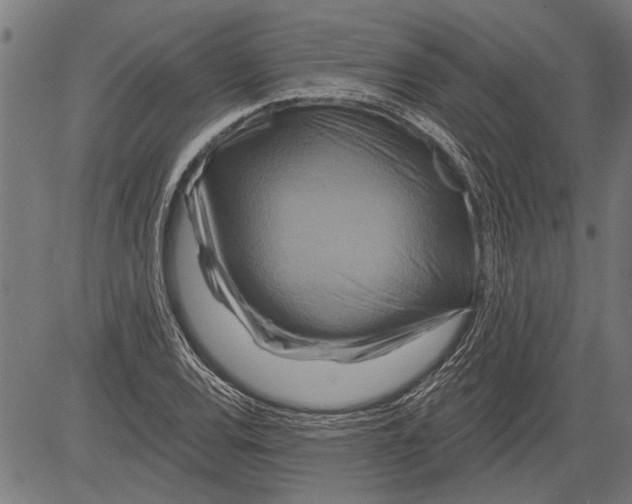 X0000081501120200702100049