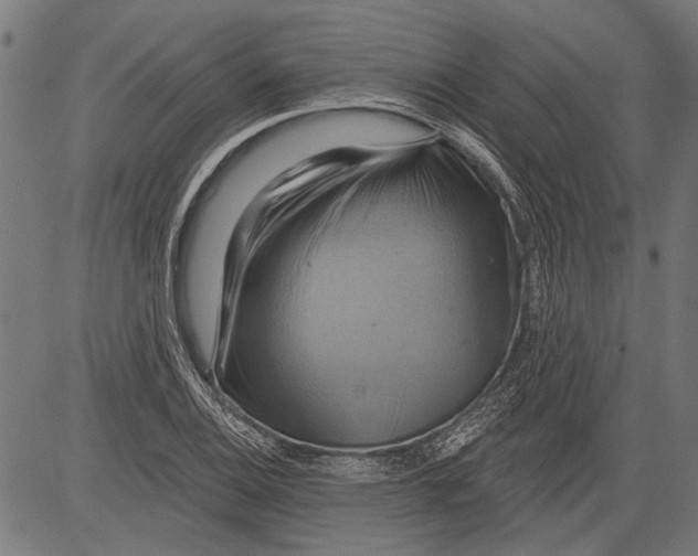 X0000081501124200702100049
