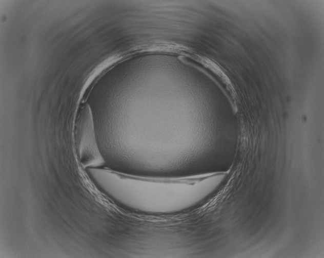 X0000081501138200702100049