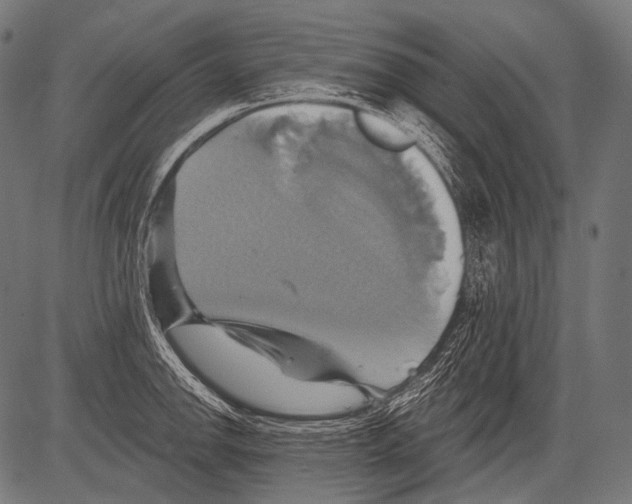 X0000081501142200702100049