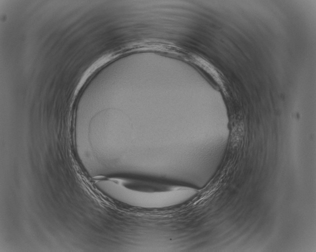 X0000081501146200702100049