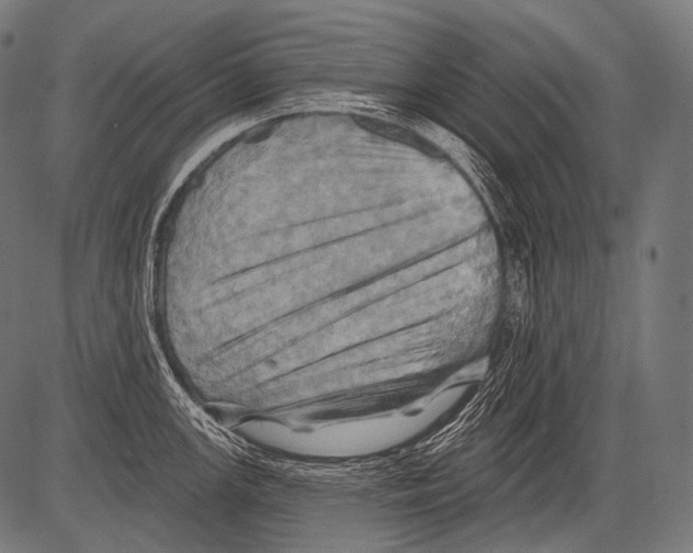 X0000081501147200702100049