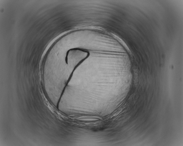 X0000081501148200702100049