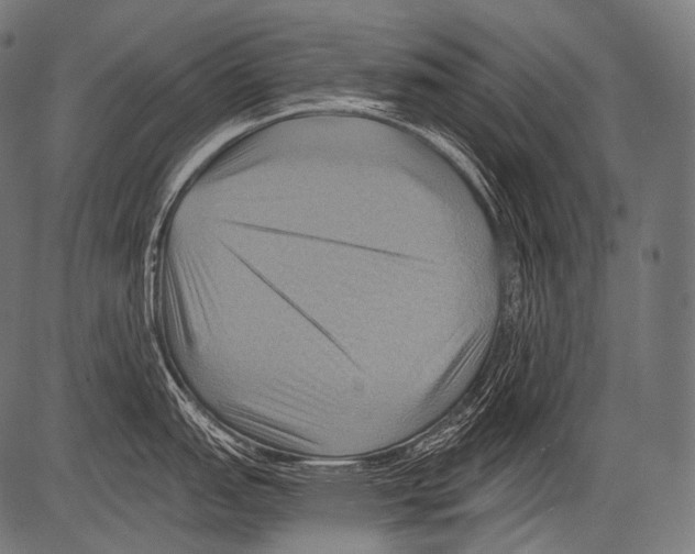 X0000081501151200702100049