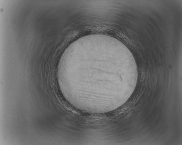 X0000081501153200702100048