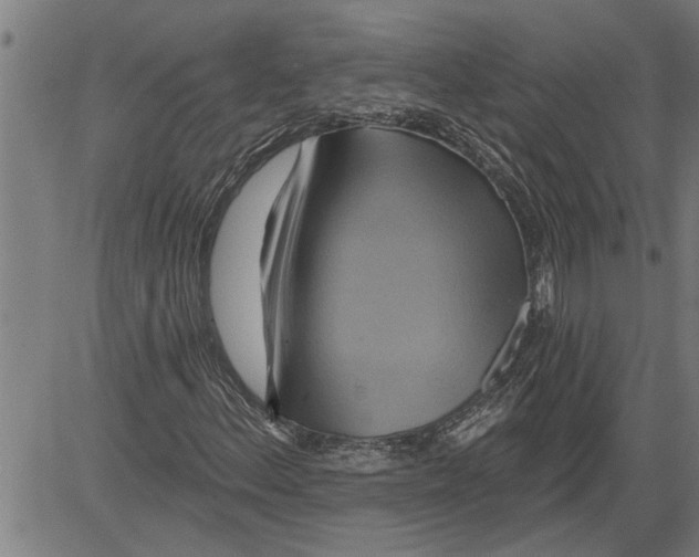X0000081501156200702100048
