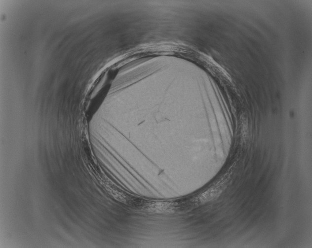 X0000081501166200702100048