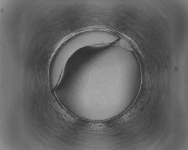 X0000081501168200702100048