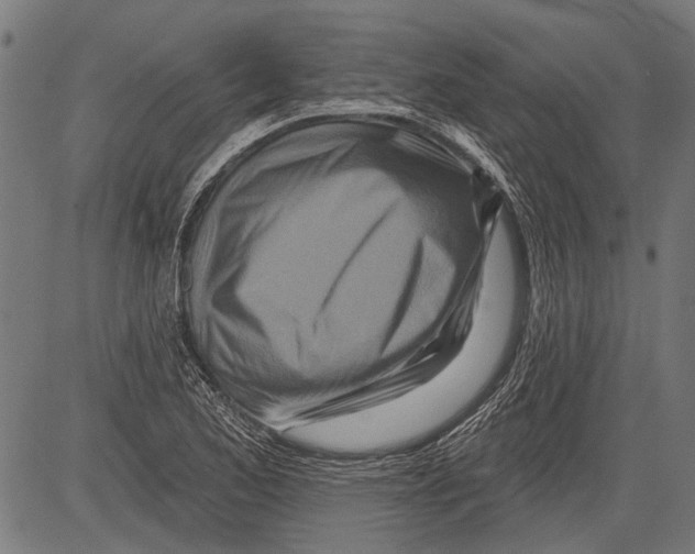 X0000081501173200702100048