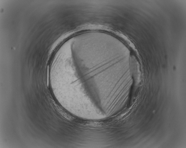 X0000081501175200702100048